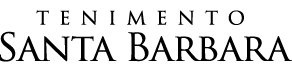logo main